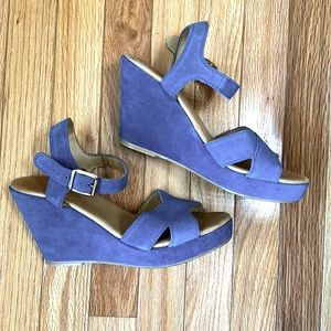 Garnet Hill blue suede platform wedge sandal